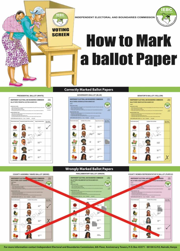 How to vote in elections