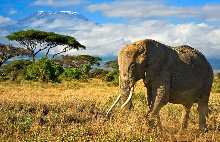 top 10 Kenya tourist attractions