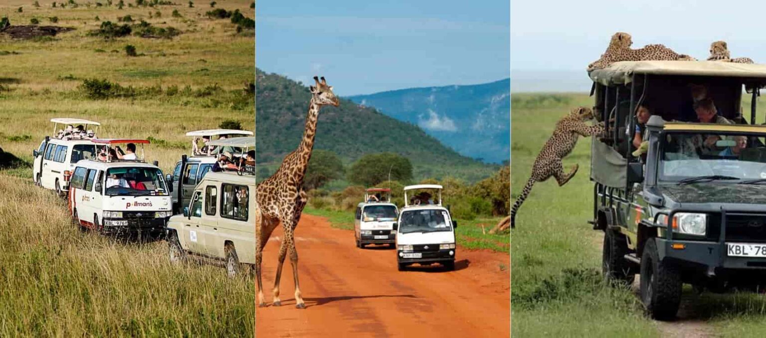travel and tourism management jobs in kenya