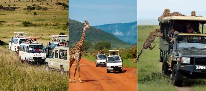 400+ Travel Agencies & Tour Companies in Kenya • Urban Kenyans