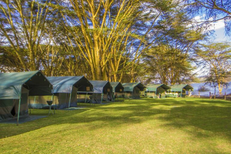 Top Picnic Sites in Nairobi