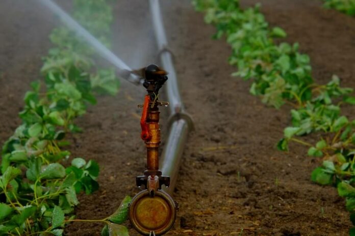 Types Of Sprinkler Irrigation In Kenya